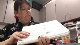 Reading Mastery Lesson K-108