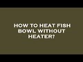 How to heat fish bowl without heater