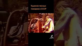 Тушение лесных пожаров в СССР 👍Это вам не Россия👎