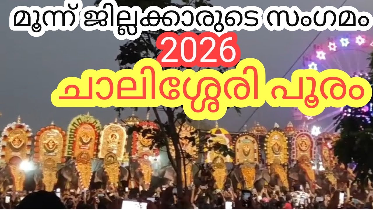 മൂന്ന് ജില്ലക്കാരുടെ ചാലശ്ശേരി പൂരം|| Aana ||Eliphant ||Feast2026 || Eliphantlove || Pooram
