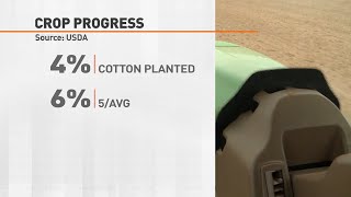 Crop Progress 040622