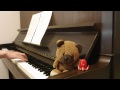 【ときメモGS2】DS版ED「渚にて」を弾いてみた【ピアノ】