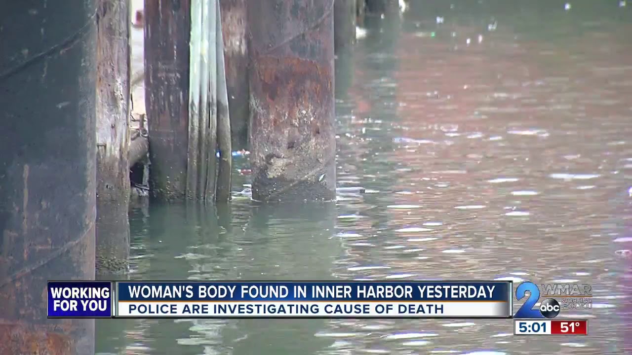 Woman's Body Found In Inner Harbor Saturday - YouTube