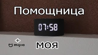 Яндекс станция мини 2 + Xiaomi mi home mijia