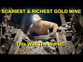 THE SCARIEST & RICHEST GOLD MINE I'VE EVER FOUND | Wire Gold & Collapsing Back