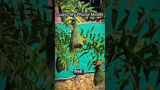 Guess my phone model |Tadpaoge tadpa lo | viral song #shorts #ytshorts #shortsvideo #viralvideo