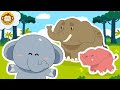 Lagu anak anak  gajah   mengenal binatang  balita  baba lili tata gajah laguanakindonesia