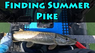 🌞How to find those hot summer pike