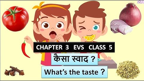 Class 5 EVS Chapter 3 | कैसा स्वाद ? | what