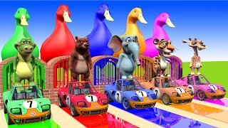 5 Giant Duck, Monkey, Piglet, Crocodile, Elephant, Giraffe, Sheep, Transfiguration funny animal 2023