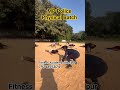 MP Police Batch//2025 MP Police//Running Video//jabalpur Acedmy//#shorts #police #yt #running