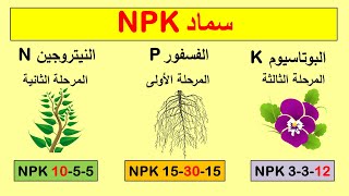 شرح سماد NPK | كيف نختار السماد المناسب للنبات؟