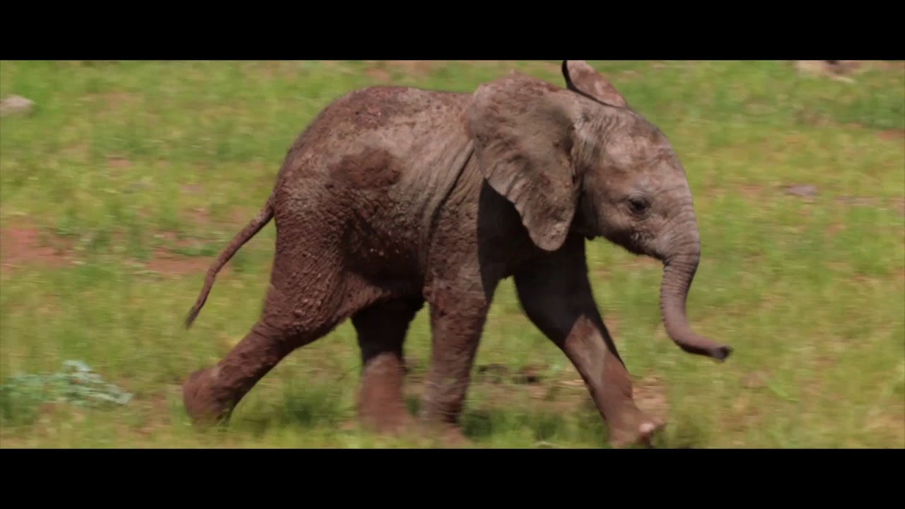 Welcome to Zimbabwe , A World of Wonders!