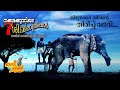 THIRUNAKKARA SIVAN || തിരുനക്കര ശിവൻ ഇരണ്ടക്കെട്ട് special 2020