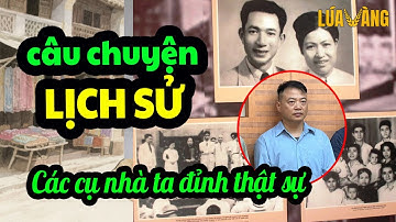 Từ Cú Úp Bô Shark Bình Ngẫm Về Triết Lý Làm Giàu Của Các Cụ Nhà Ta Thời Xưa – Đọc Truyện Lúa Vàng