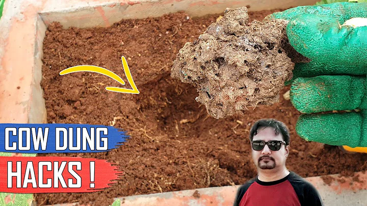 5 COW-DUNG TRICKS AND GARDENING IDEAS | THE BEST F...