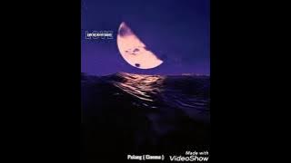 Pulang lirik song by CINEMA