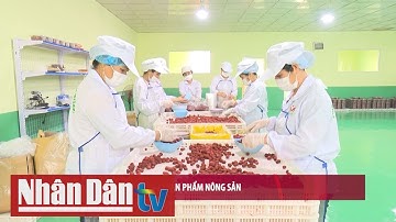 Xúc tiến thương mại sản phẩm nông sản