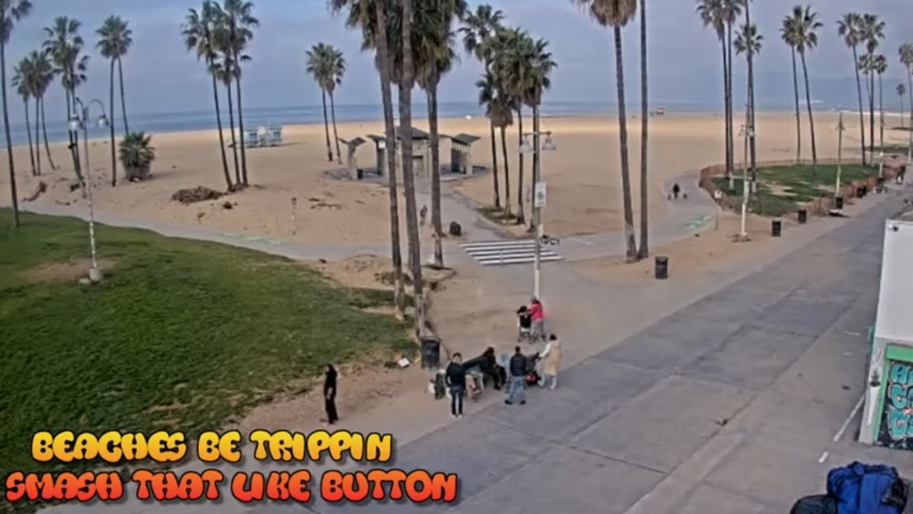 Venice beach webcam venice beach live cam venice beach live