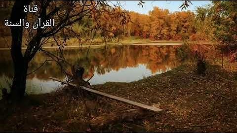 💓ارح قلبك💓تلاوة هادئة تريح القلب"سورة البقرة كاملة" بترتيل جميل 🤗