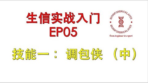 【生信进阶之路｜实战入门】EP05: 一技能：调包侠（中）