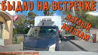 картинка: Быдло на встречке #196! Подборка на видеорегистратор!