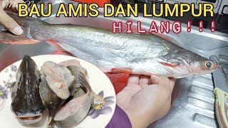 TIPS CARA MENGHILANGKAN BAU AMIS & BAU TANAH / LUMPUR PADA IKAN PATIN | CARA MEMBERSIHKAN IKAN PATIN