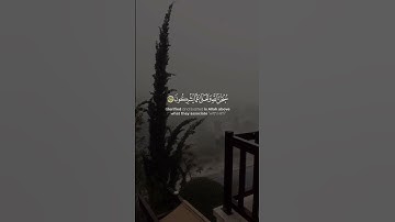 🌺وربك يخلق ما يشاء 🎙️المقرئ:عمر دريويز📖سورة القصص💫|الآية {68}|