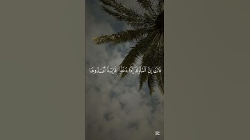 تلاوة خاشعة للقارئ كامل يوسف البهتيمي لا تنسوا الدعاء لغزة #quran #المصحف #الرحمن #غزة #قرآن