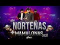 Mix cumbias norteas 2022   las norteas ms mamalonas del 2020 mix by dj alfred  con ese coraz