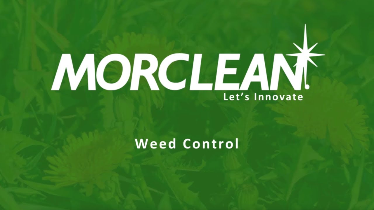 Morclean Weed Control Range - Before and After