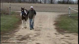 San Antone MPEG-2 for dvd.mpg
