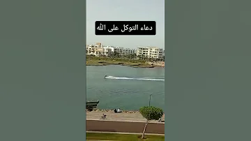 دعاء التوكل على الله Viralvideo اكسبلور صبرو ترند تيك توك دويتو الرحمن Cat Fypシ Viral 