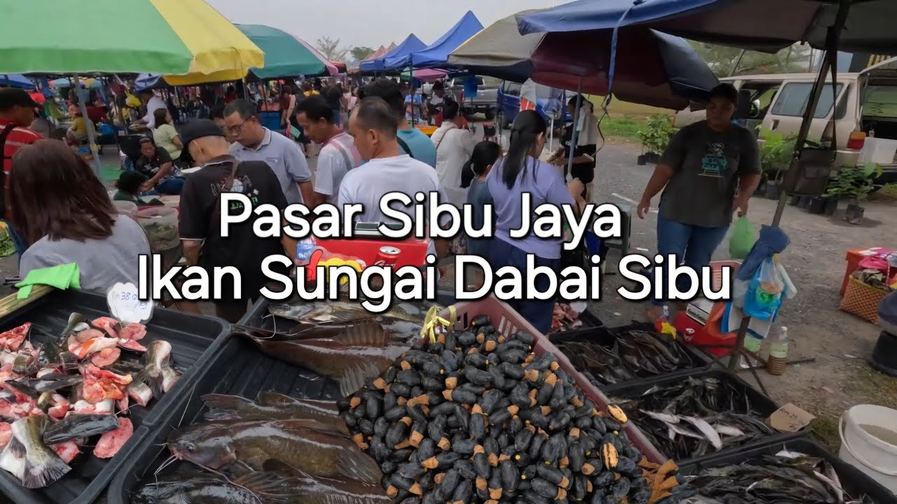Pasar Sibu Jaya Sarawak nang rami gais😅Maioh macam lauk dijual ditu bala madi🙏