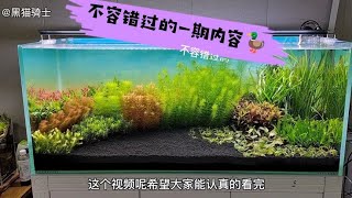 从失败中找出的经验水草融叶烂根的解决办法这可能没人告诉你