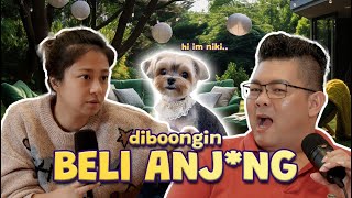 JW'S Talks | HatiHati Kalo Beli Anjing Di Korea