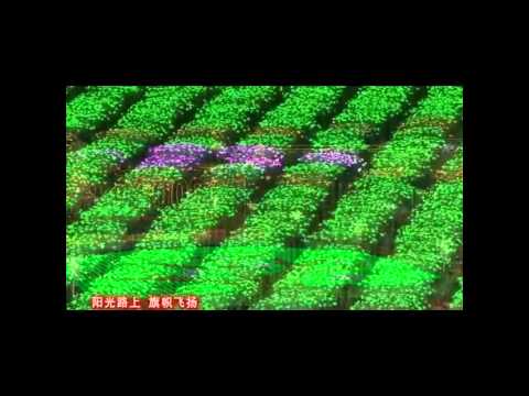 bbppb-video-阳光路上.wmv