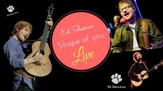 Ed Sheeran - Shape Of You All Live Performances (With Loop Pedal)