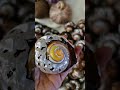 Amazing mother-of-pearl, beautiful shiny shells! 🐚🪸#decoration #coastalliving #shells