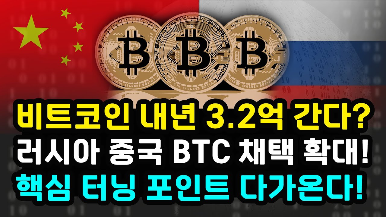 리플 비트코인 드레이퍼 