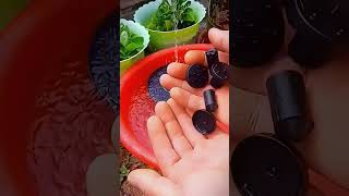 Capture the beauty of sunsets #interesting