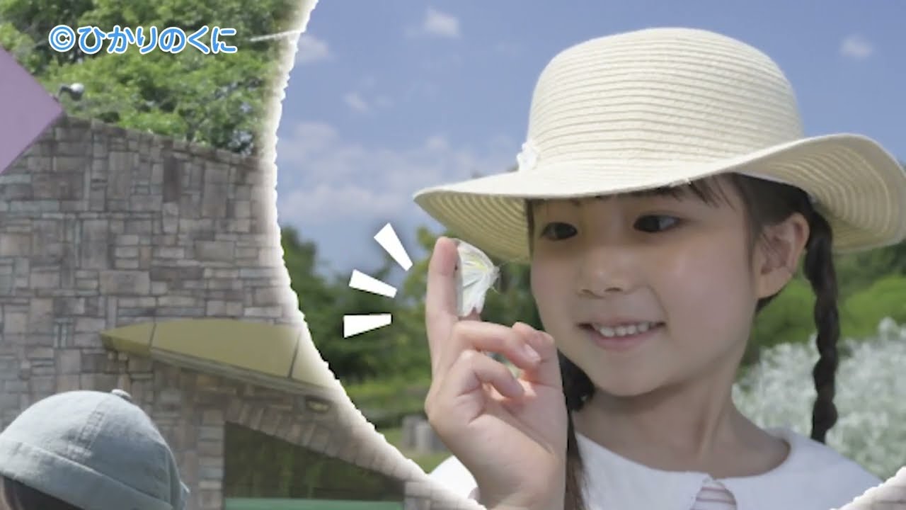 2026年 ↓↓ 動画は下にあります ↓↓｜ 2026年度の月刊絵本｜月刊誌