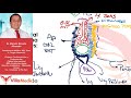 Residentado Médico 2021 Fase 2  Cirugía General Día 2 -  Hernias parte 1