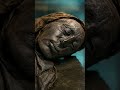 They Found a Bog Body's Last Meal #shorts #history