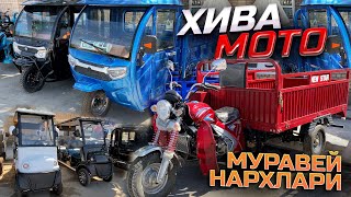 ХОЗИР ТРЕНДДА БУЛГАН МУРОВЕЙЛАР НАРХЛАРИ🔥 КРЕДИТГА БОР.