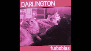 Miniatura de "Darlington "Euthanise Me""