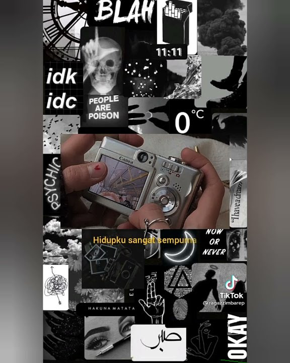 Story Wa/Ig Aesthetic Lagu I'am Single Happy (Oppi Andaresta) || Lagu para Jomblo