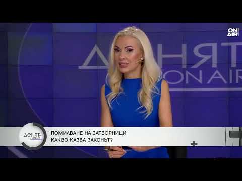Случаят с "Петричкия Ескобар": "Не може да се носи отговорност за проявена милост"