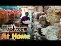 Grow Mushroom in your Home most Easily.Oyster Mushroom growing training