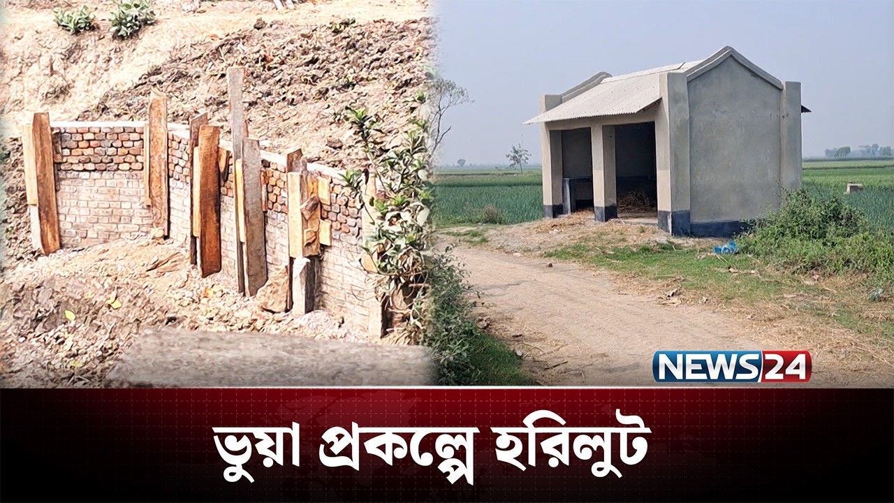 মেহেরপুরে ভুয়া প্রকল্প সাজিয়ে হরিলুট | Meherpur | NEWS24